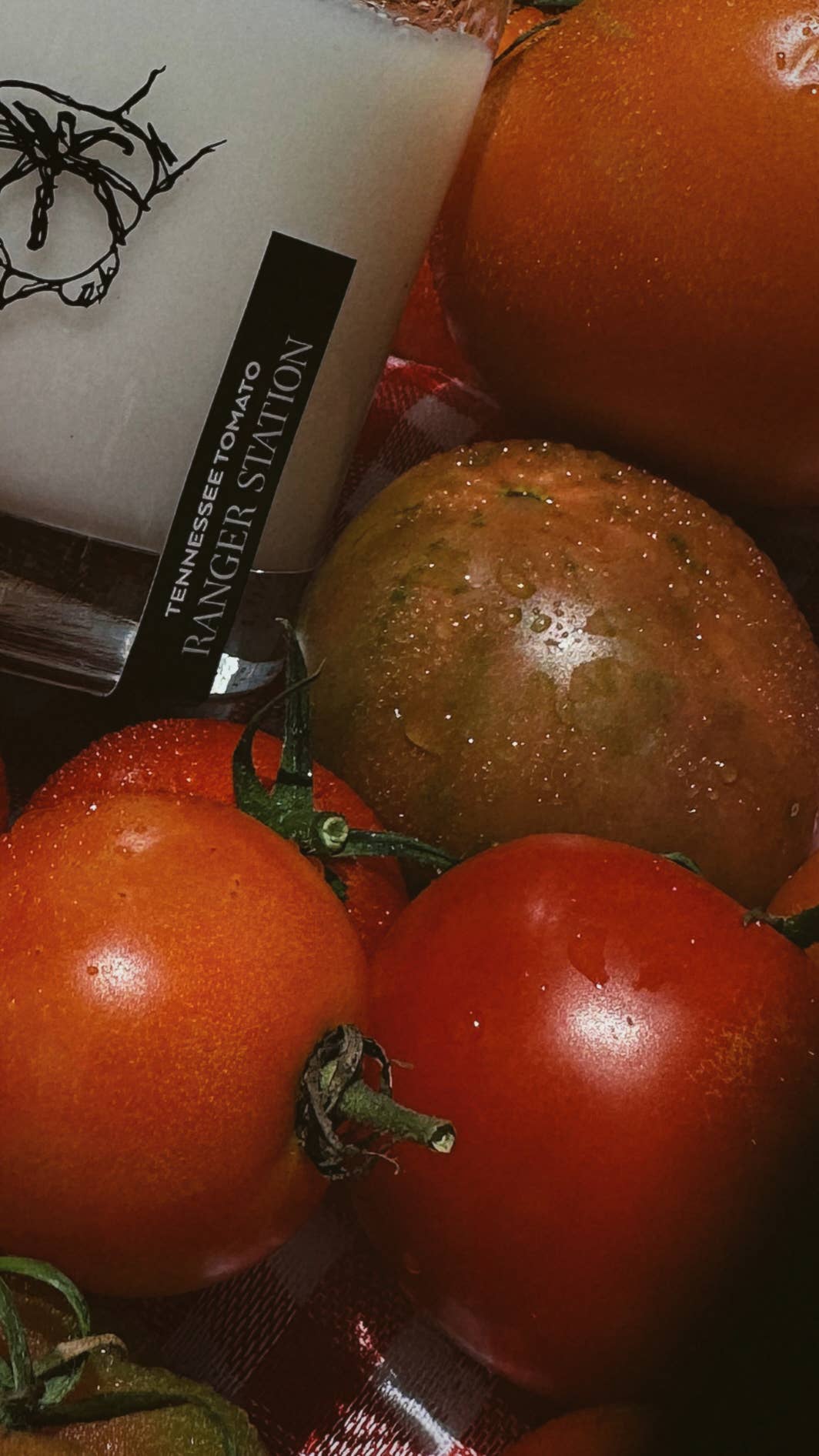TESTER) TENNESSEE TOMATO CANDLE – Heart Boutique